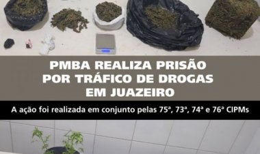 Apreensão de maconha e de pássaros silvestres mantidos de forma irregular. Confira ação da Polícia Militar em Juazeiro