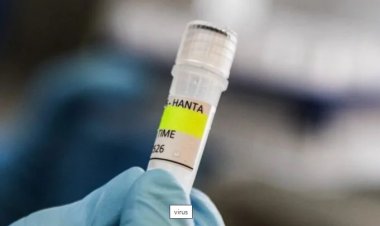 Brasil teve uma morte confirmada por hantavírus em 2026