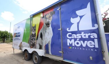 A Agência Municipal do Meio Ambiente (AMMA) segue fortalecendo as ações de proteção e bem-estar animal no município. As ações são desenvolvidas por meio da Coordenação de Bem-Estar Animal.