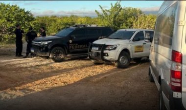 Polícia Federal e Instituto Chico Mendes deflagram operação para proteger ararinhas-azuis ameaçadas de extinção em Curaçá (BA)