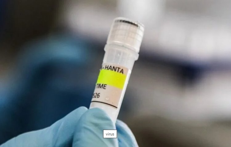 Brasil teve uma morte confirmada por hantavírus em 2026