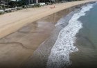 Menino mordido por tubarão na praia de Piedade, em Jaboatão dos Guararapes (PE) tem perna amputada