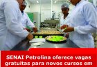 SENAI Petrolina oferece vagas gratuitas para novos cursos em junho