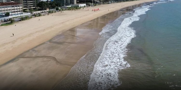 Menino mordido por tubarão na praia de Piedade, em Jaboatão dos Guararapes (PE) tem perna amputada